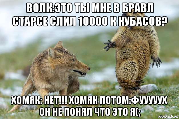 волк:это ты мне в бравл старсе слил 10000 к кубасов? хомяк: нет!!! хомяк потом:фууууух он не понял что это я(;, Мем Волк и суслик