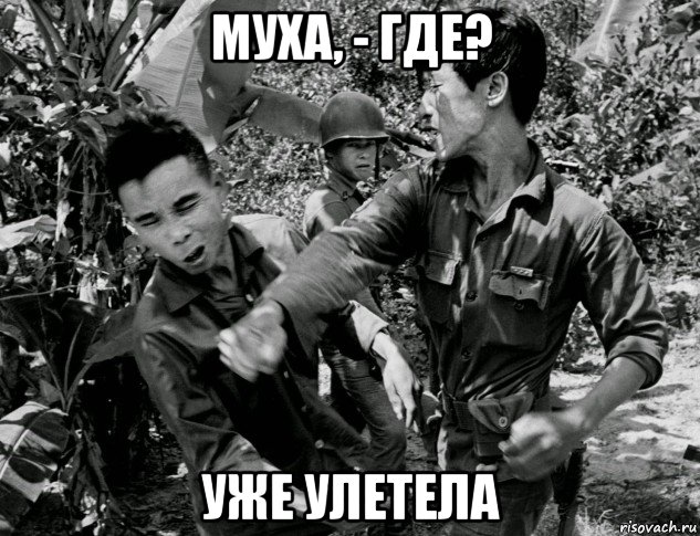 муха, - где? уже улетела, Мем Война во Вьетнаме