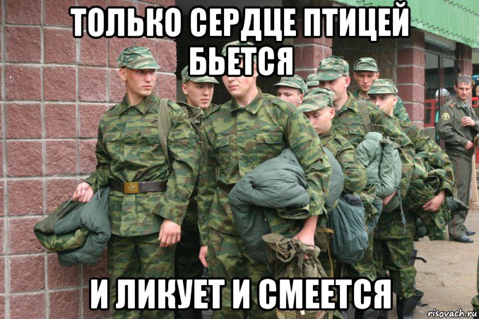 только сердце птицей бьется и ликует и смеется, Мем Зеленые