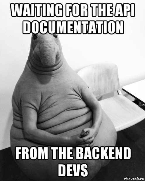 waiting for the api documentation from the backend devs, Мем  Ждун