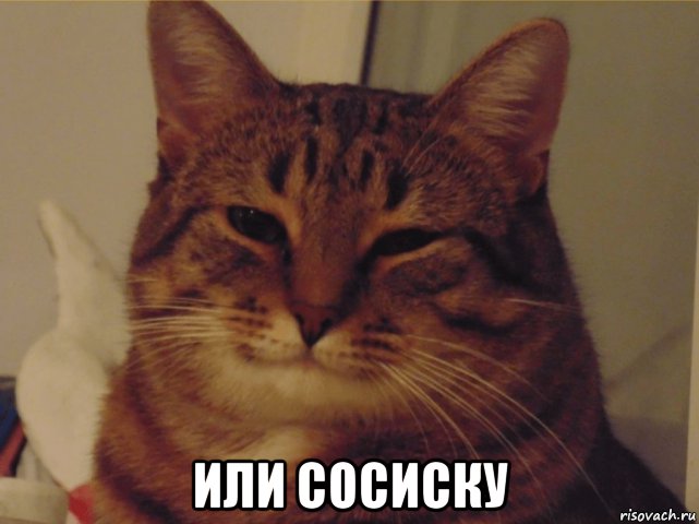  или сосиску, Мем 1