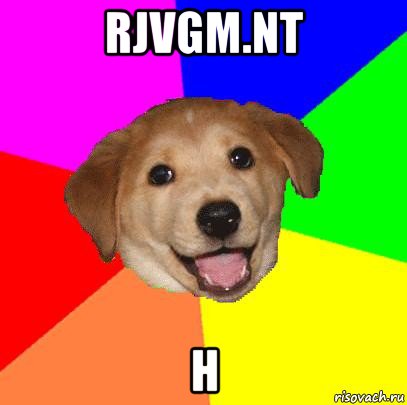 rjvgm.nt h, Мем Advice Dog