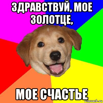 здравствуй, мое золотце, мое счастье, Мем Advice Dog