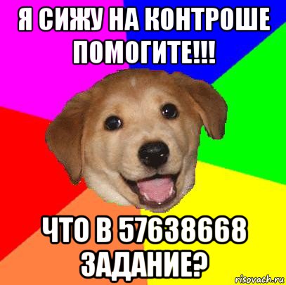 я сижу на контроше помогите!!! что в 57638668 задание?, Мем Advice Dog