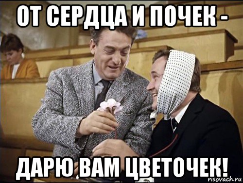 от сердца и почек - дарю вам цветочек!, Мем Алексей Навальный