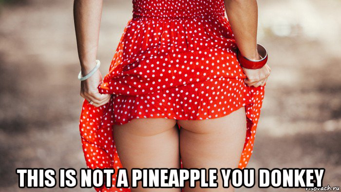  this is not a pineapple you donkey, Мем Ананас