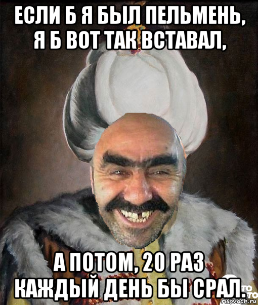 если б я был пельмень, я б вот так вставал, а потом, 20 раз каждый день бы срал.