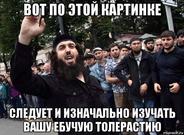 вот по этой картинке следует и изначально изучать вашу ебучую толерастию, Мем Аул