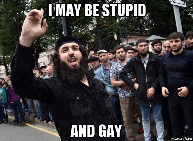 i may be stupid and gay, Мем Аул