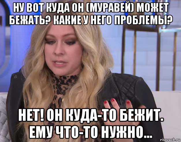 ну вот куда он (муравей) может бежать? какие у него проблемы? нет! он куда-то бежит. ему что-то нужно..., Мем Avril Lavigne