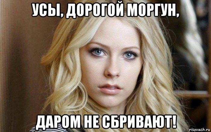 усы, дорогой моргун, даром не сбривают!