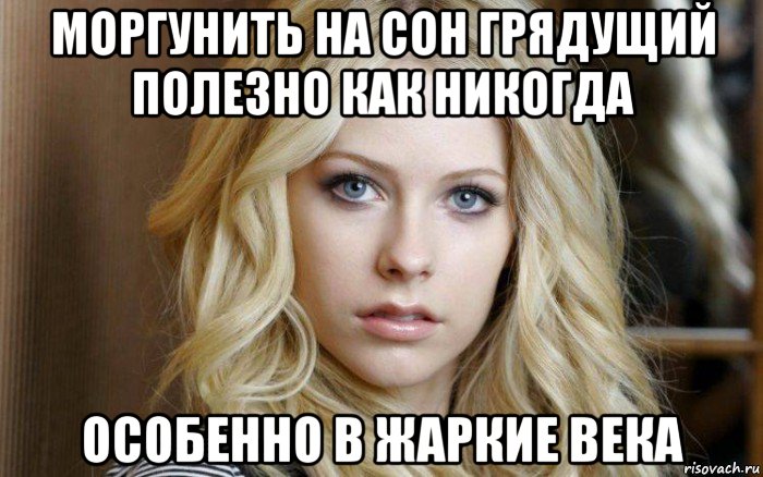 моргунить на сон грядущий полезно как никогда особенно в жаркие века