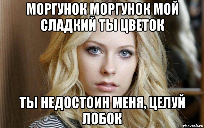 моргунок моргунок мой сладкий ты цветок ты недостоин меня, целуй лобок