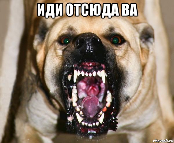 иди отсюда ва 