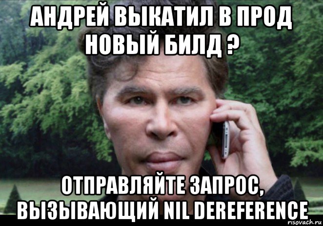 андрей выкатил в прод новый билд ? отправляйте запрос, вызывающий nil dereference, Мем Богданов