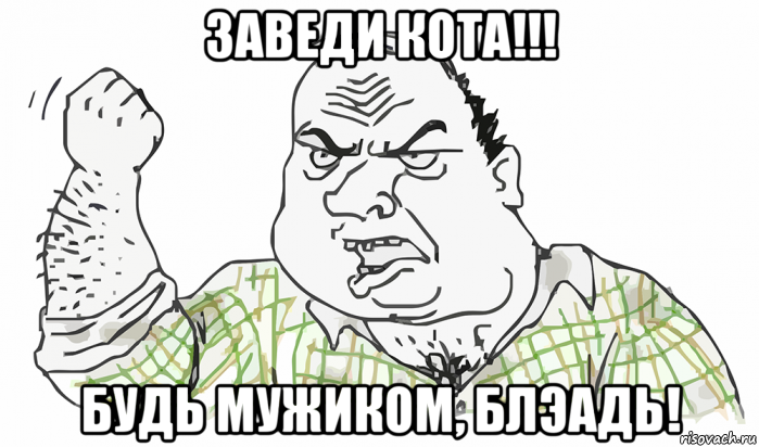 заведи кота!!! будь мужиком, блэадь!, Мем Будь мужиком