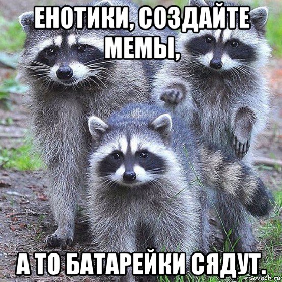 енотики, создайте мемы, а то батарейки сядут., Мем Чихпыхчики