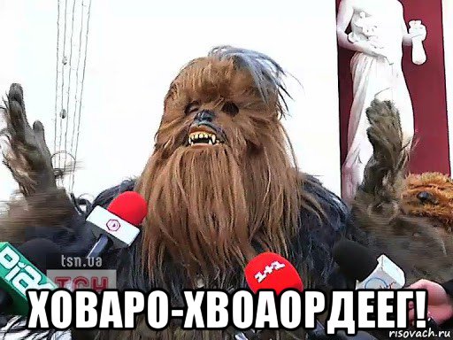  ховаро-хвоаордеег!, Мем Чубакка - Майдан
