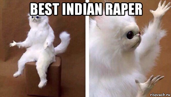 best indian raper , Мем Чучело кота
