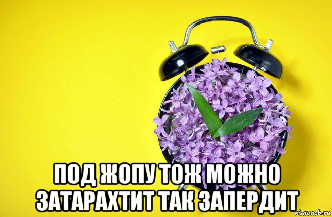  под жопу тож можно затарахтит так запердит, Мем Цветочный будильник