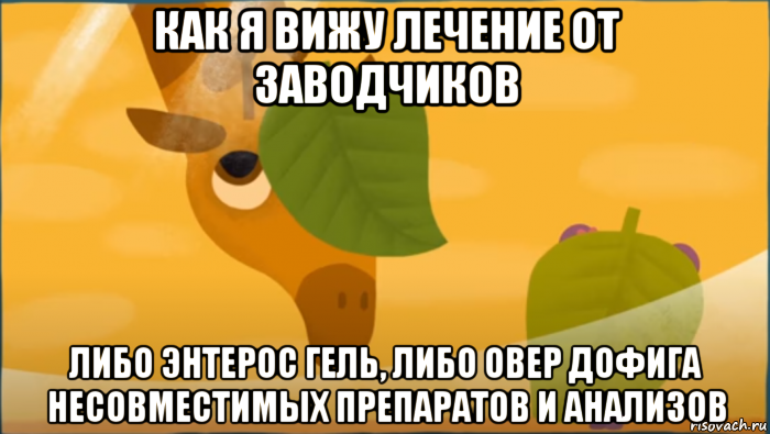 как я вижу лечение от заводчиков либо энтерос гель, либо овер дофига несовместимых препаратов и анализов, Мем Дановый вы нодоела