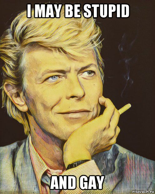 i may be stupid and gay, Мем David Bowie