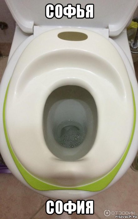 софья софия, Мем Детский унитаз 2