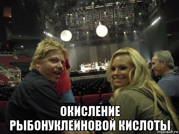  окисление рыбонуклеиновой кислоты, Мем Dexter