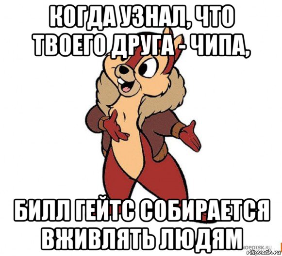 когда узнал, что твоего друга - чипа, билл гейтс собирается вживлять людям, Мем Дейл