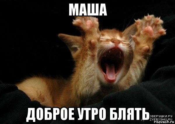 маша доброе утро блять