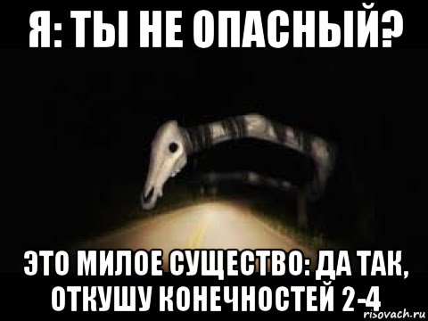 я: ты не опасный? это милое существо: да так, откушу конечностей 2-4, Мем Долговязая Лошадь