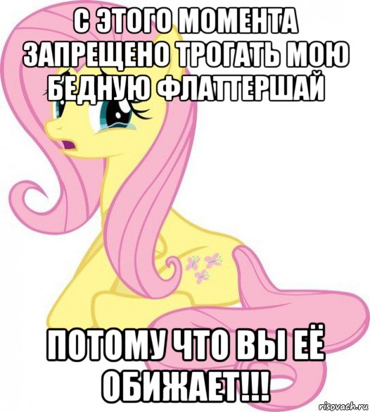 с этого момента запрещено трогать мою бедную флаттершай потому что вы её обижает!!!