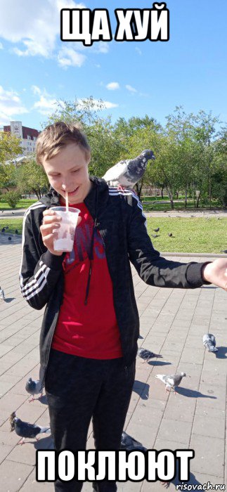 ща хуй поклюют, Мем Голубок