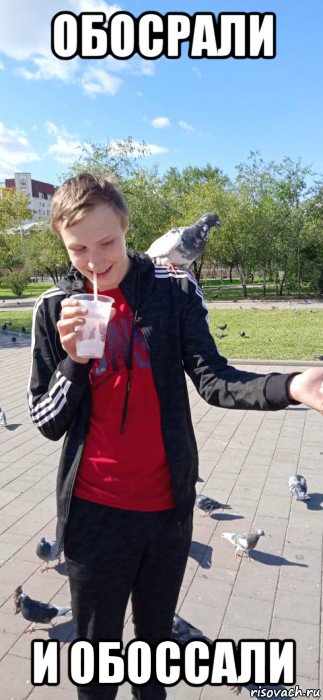 обосрали и обоссали, Мем Голубок