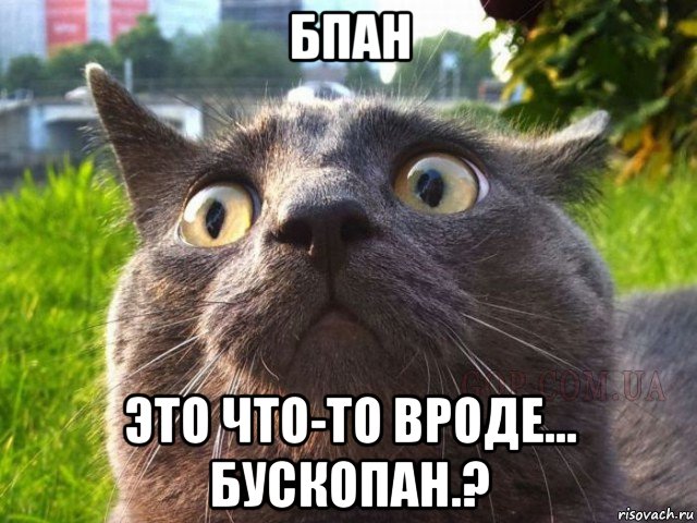 бпан это что-то вроде... бускопан.?