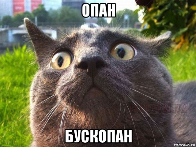 опан бускопан