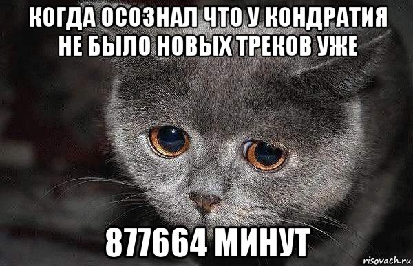 когда осознал что у кондратия не было новых треков уже 877664 минут