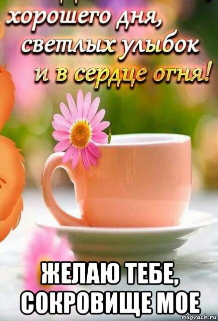  желаю тебе, сокровище мое, Мем Хорошего дня