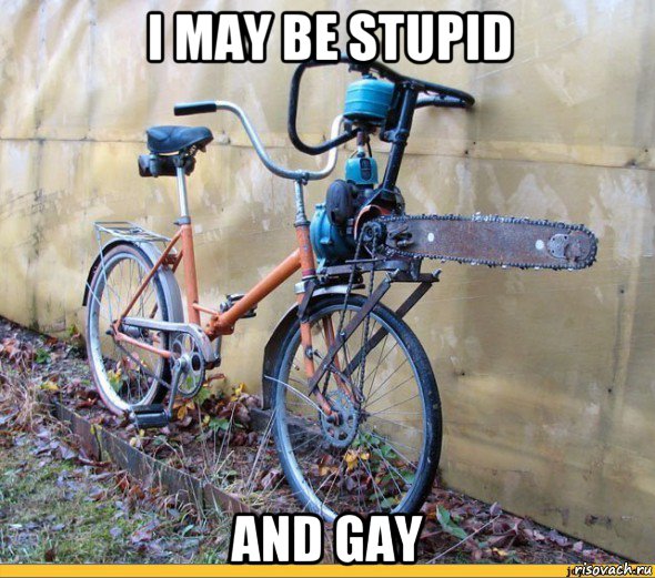 i may be stupid and gay, Мем Ихтя