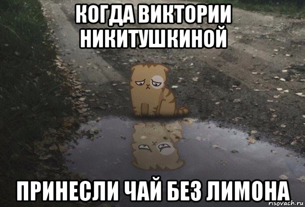 когда виктории никитушкиной принесли чай без лимона
