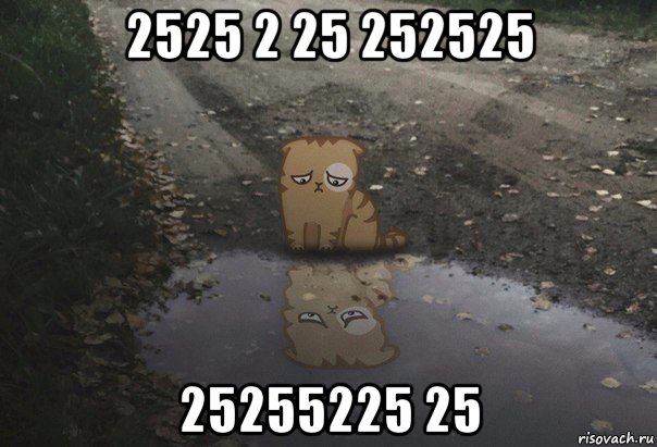 2525 2 25 252525 25255225 25, Мем Иитт