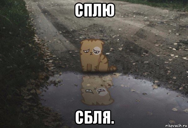сплю сбля.