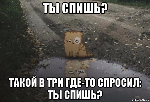 ты спишь? такой в три где-то спросил: ты спишь?
