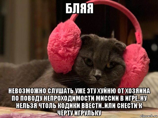 бляя невозможно слушать уже эту хуйню от хозяина по поводу непроходимости миссии в игре..ну нельзя чтоль кодики ввести..или снести к чёрту игрульку, Мем Кот в наушниках