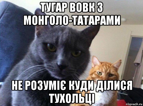 тугар вовк з монголо-татарами не розуміє куди ділися тухольці, Мем  Два котэ