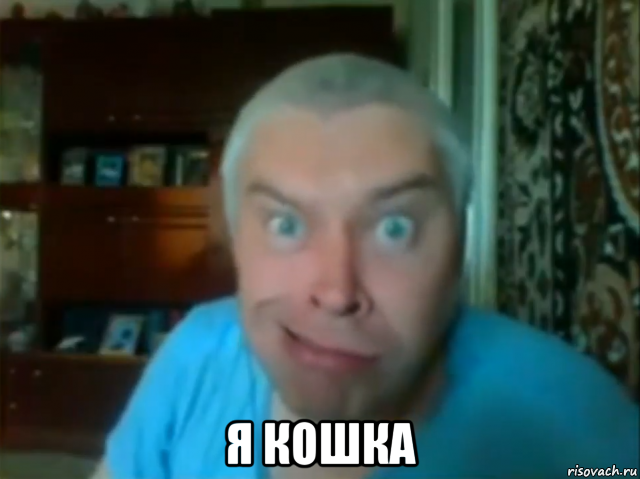  я кошка, Мем КУПЛИНОВ СТЯНУЛ