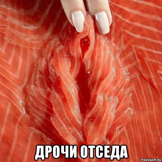  дрочи отседа, Мем Лосясяндер