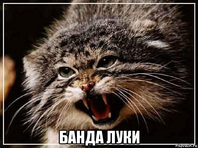  банда луки