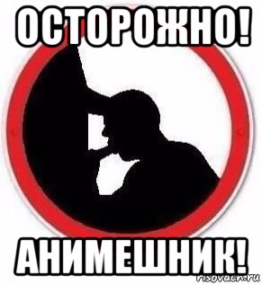 осторожно! анимешник!
