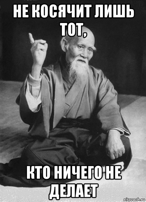 не косячит лишь тот, кто ничего не делает, Мем Мудрый старик